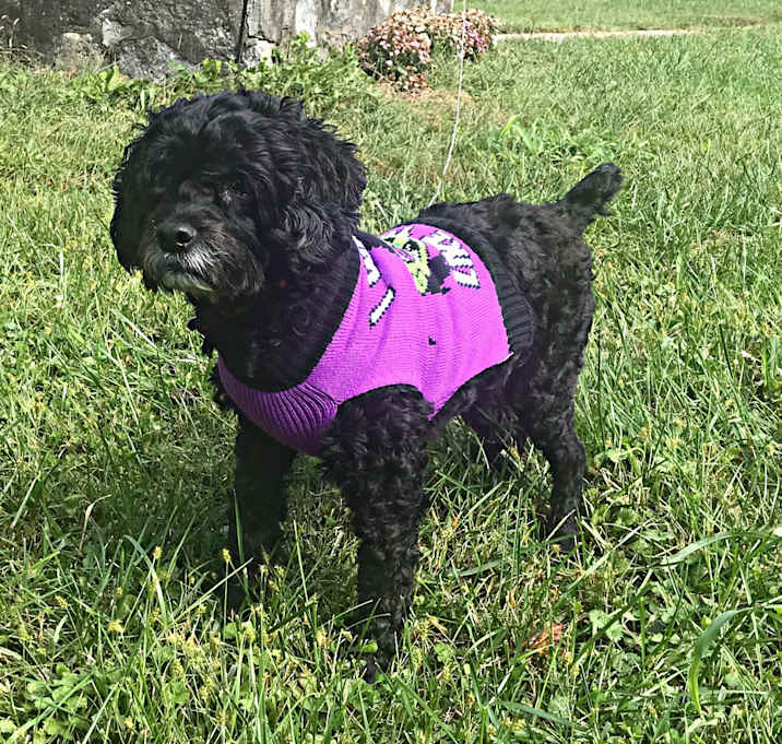 Photo of Tatianna 10yr