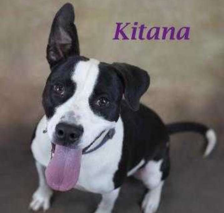 Photo of Kitana