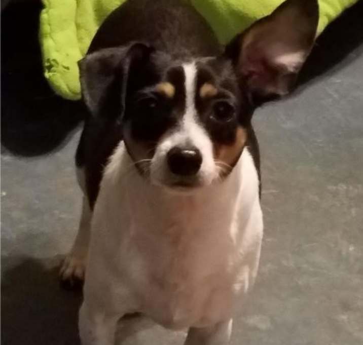 Photo of Tulsa AKA Bentley