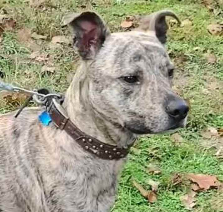 Photo of B-Valentine