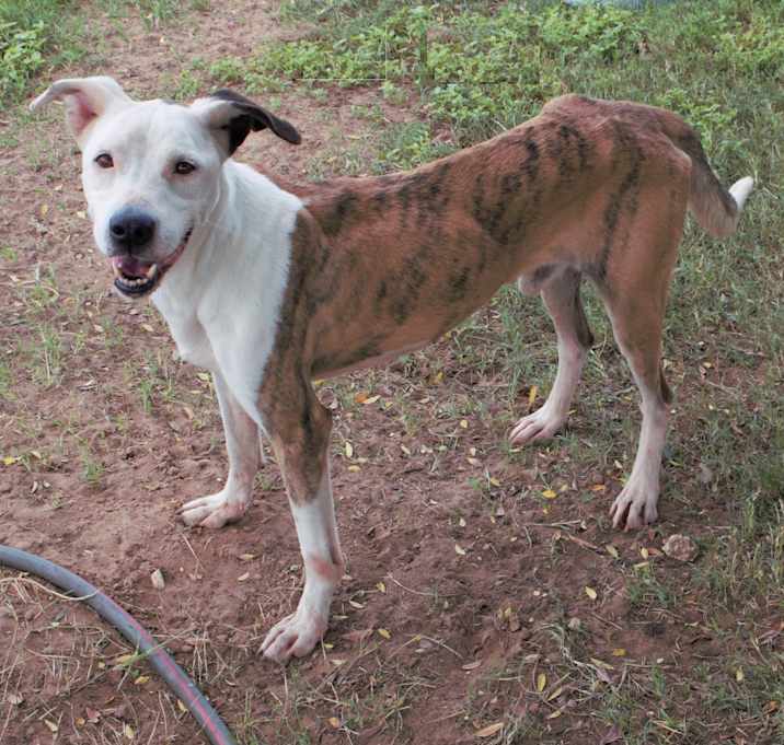 Photo of Christopher