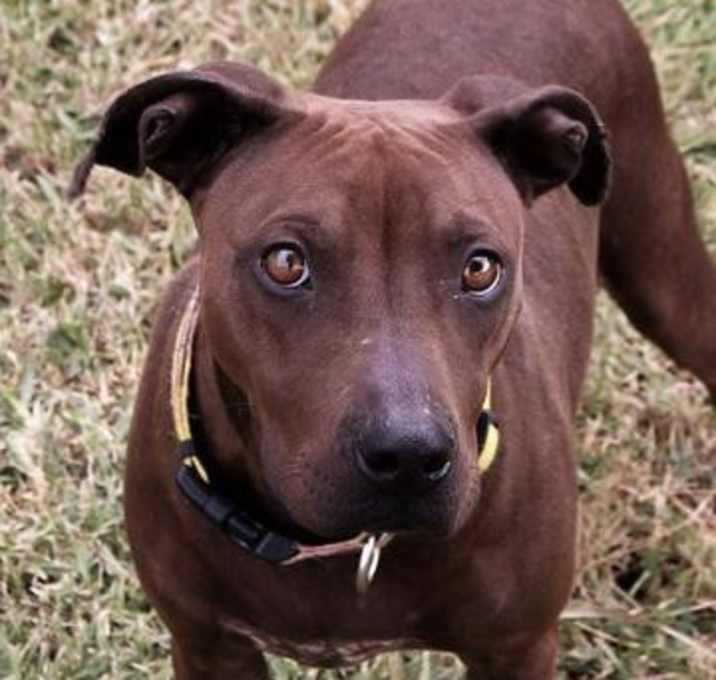 Photo of Sweet Georgia Brown