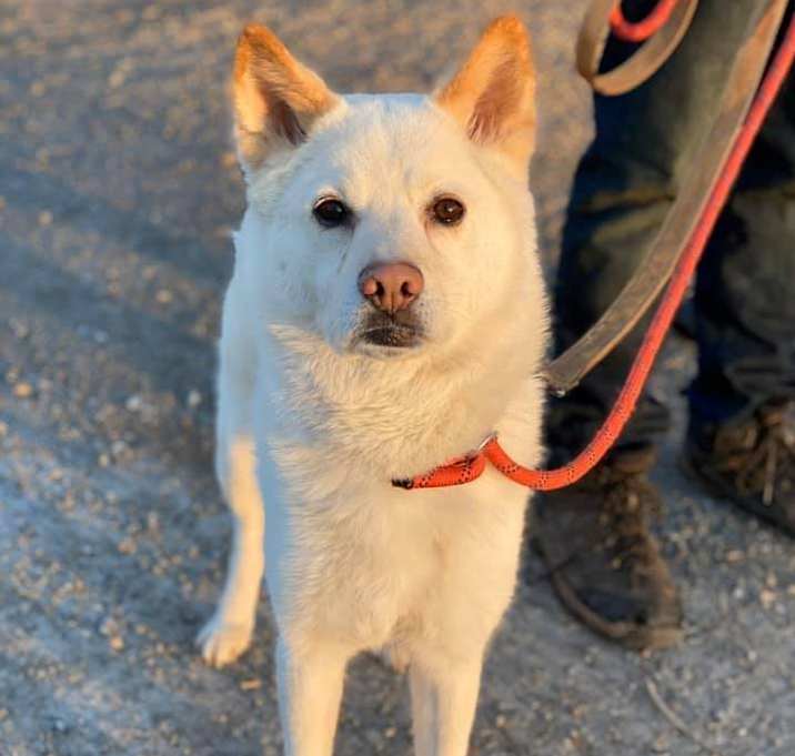 Photo of Fitzsimmons