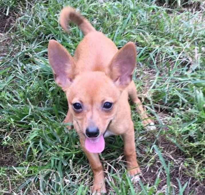 Photo of Meghan Markle