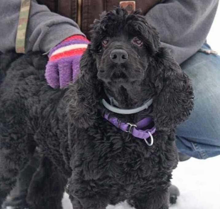 Photo of 'Roy' aka Leroy