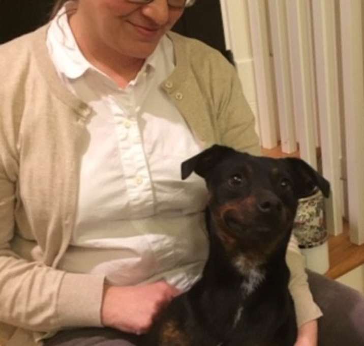 Photo of Camille no adopt fee