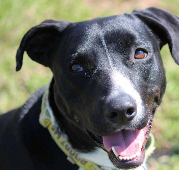 Photo of Daisy Fuentes