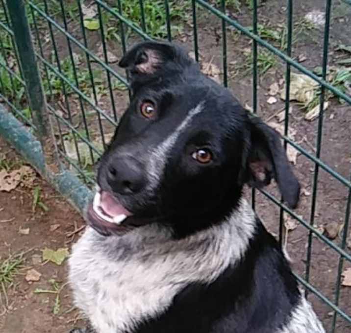 Photo of LH13 Taylor