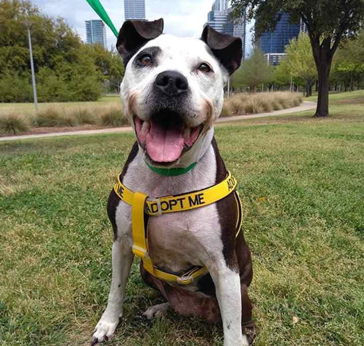 Photo of Mirabelle TS