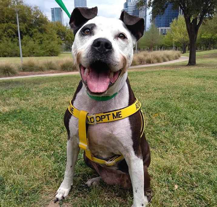 Photo of Mirabelle TS