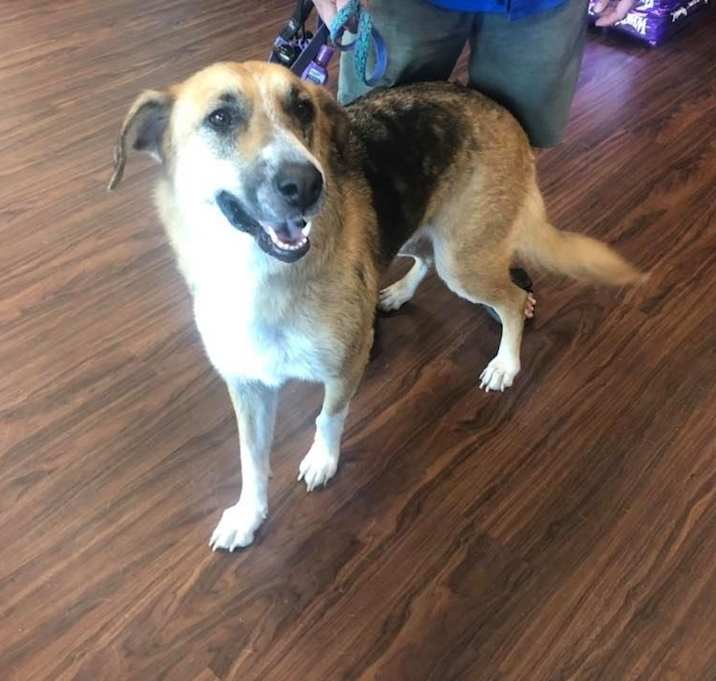 Photo of 18-056-Buffy