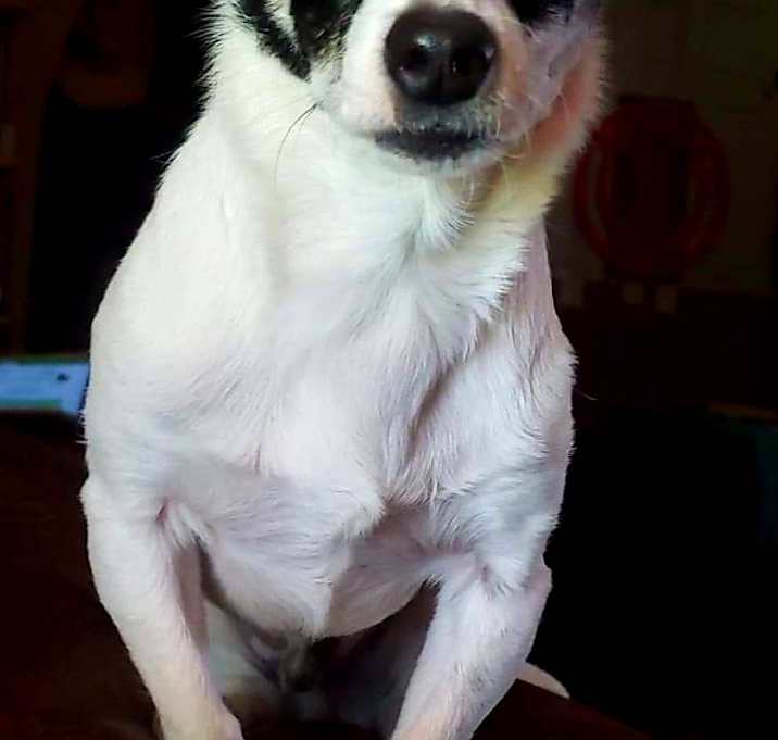 Photo of Manolo aka Nolo