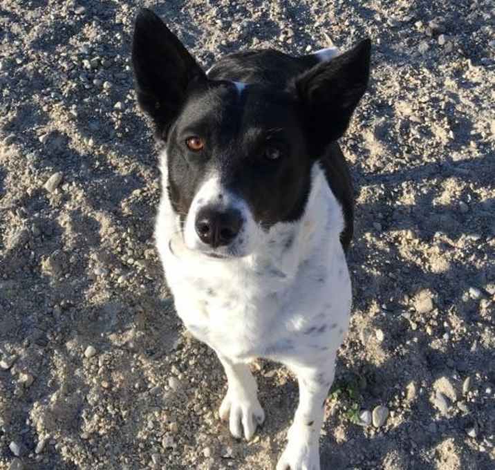 Photo of PAIGE - $95