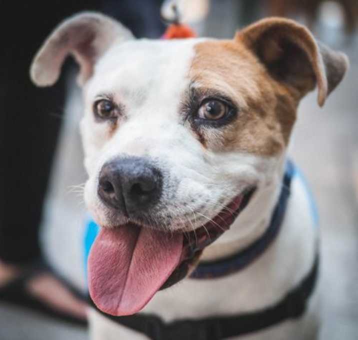 Photo of Debbie Eagan