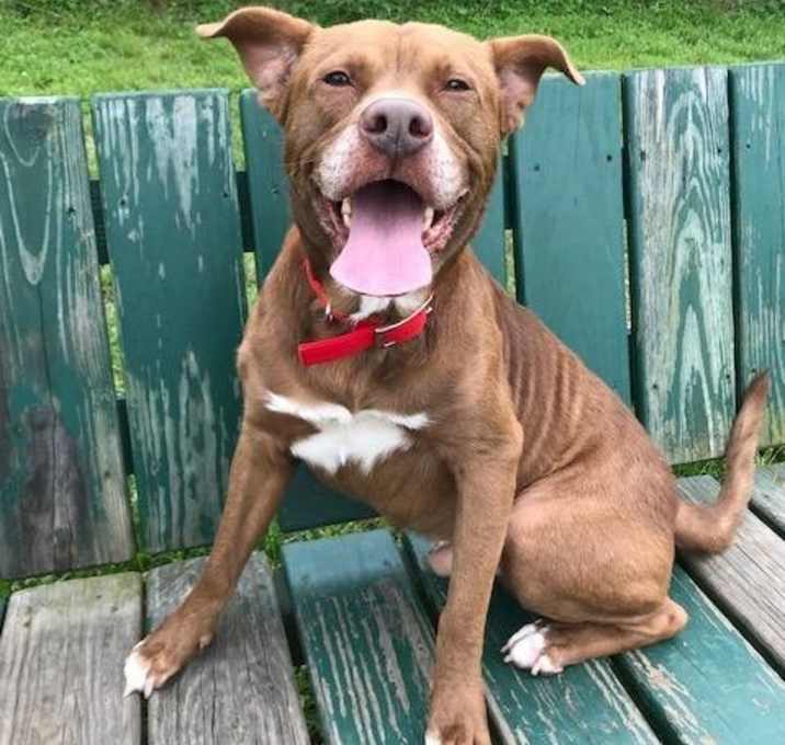 Photo of George / Jo Jo