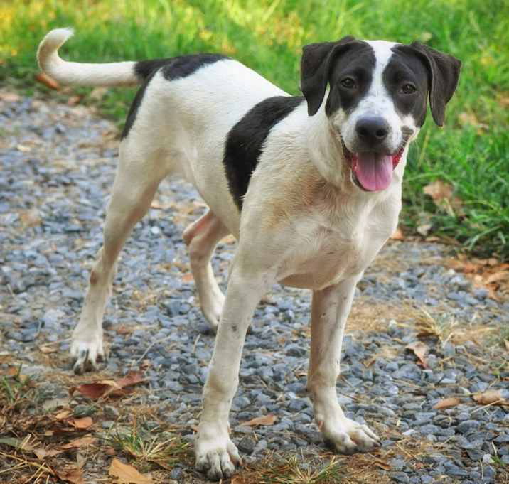 Photo of Roxy Rocket