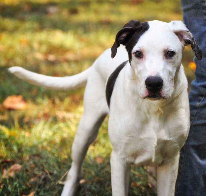 Photo of Harley Quinn