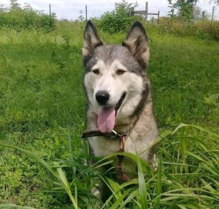 Photo of Sarah and Ty W