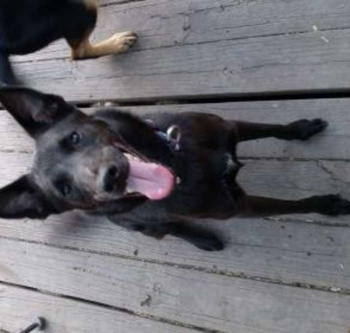 Photo of Peter Parker