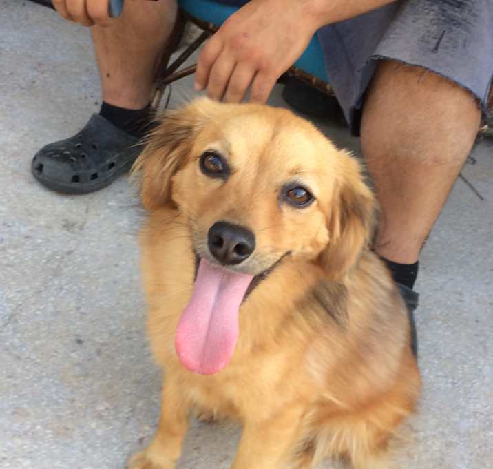 Photo of Demi - Special Medical Needs