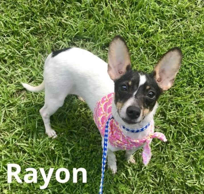 Photo of Rayon in Texarkana, TX