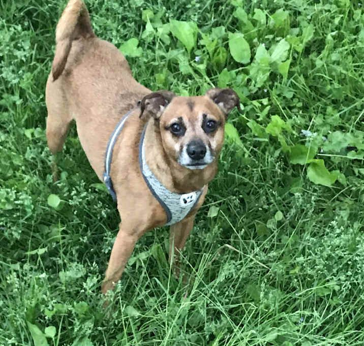 Photo of Little Bear