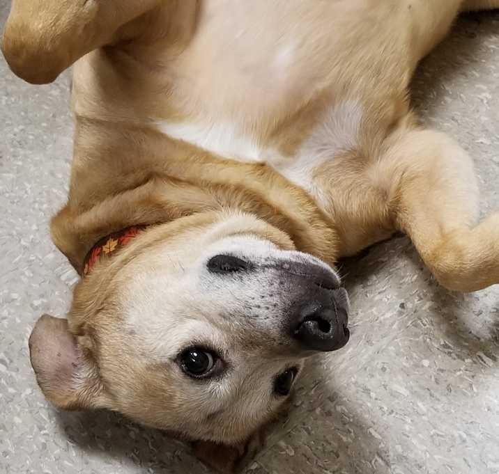 Photo of BEAUTIFUL MIKEY