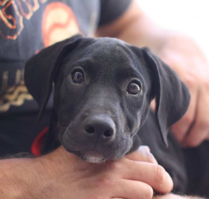 Photo of Obi Wan Kanobi