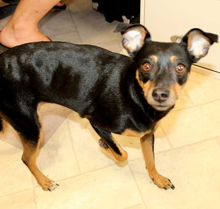 Photo of Miss Abby ~ meet me!