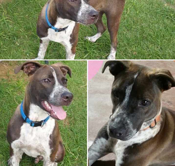 Photo of Salvador (Salvi)