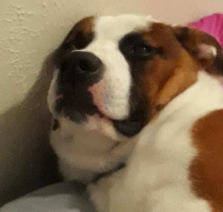 Photo of Bilbo Baggins