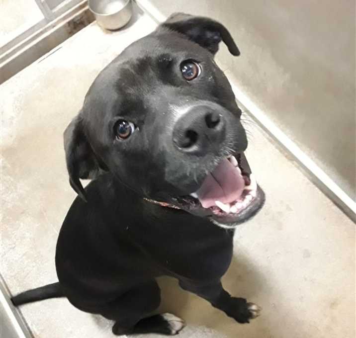 Photo of Titan / Jack