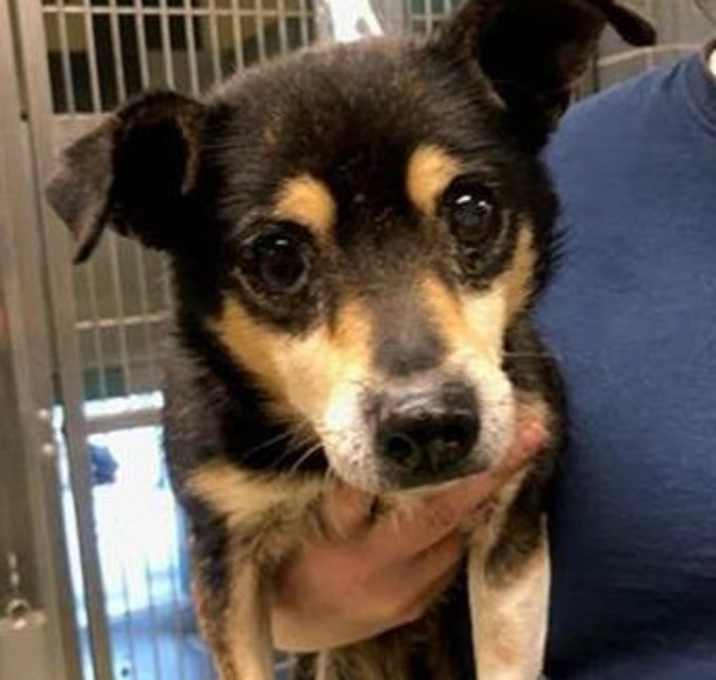 Photo of Peppy Meyer