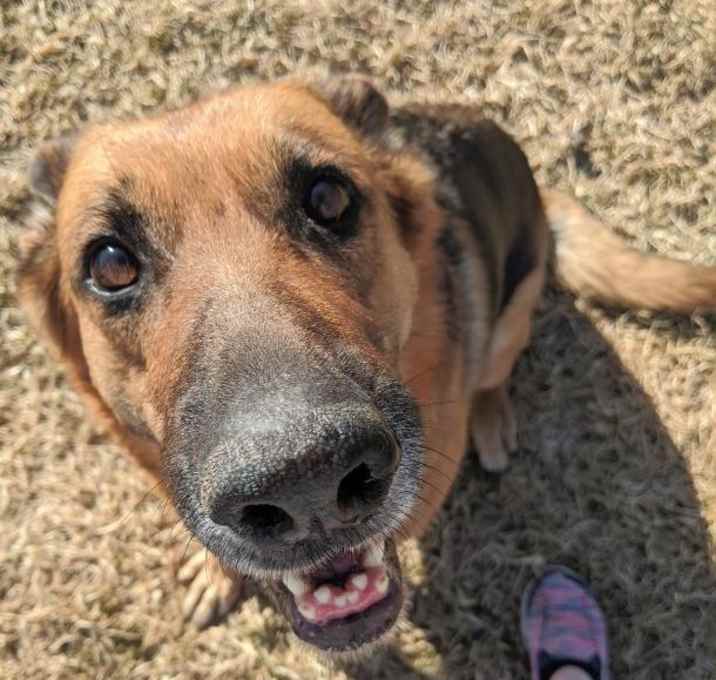 Photo of Babe (Bonded with Annalise)