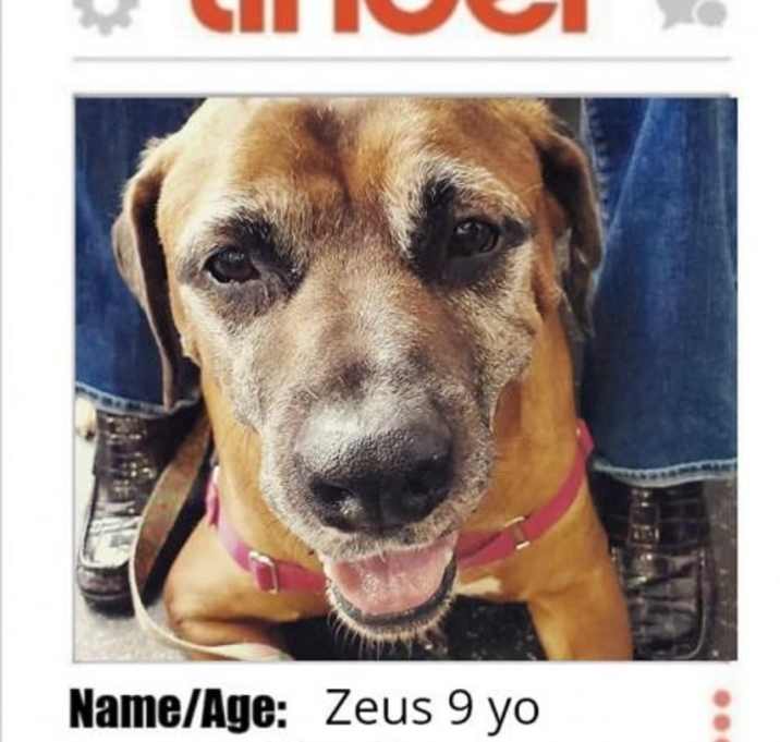 Photo of Zeus