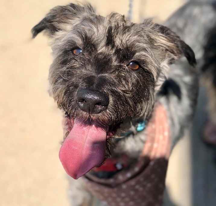 Photo of Elliot Locale