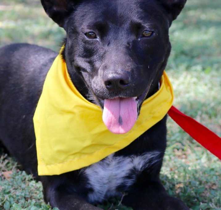 Photo of Sabrina MMC