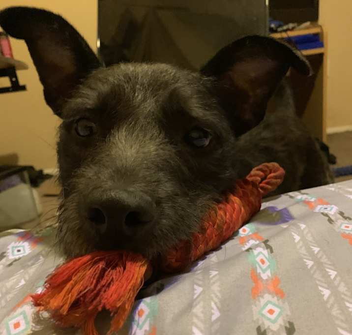 Photo of Benjamin Button (Benji)