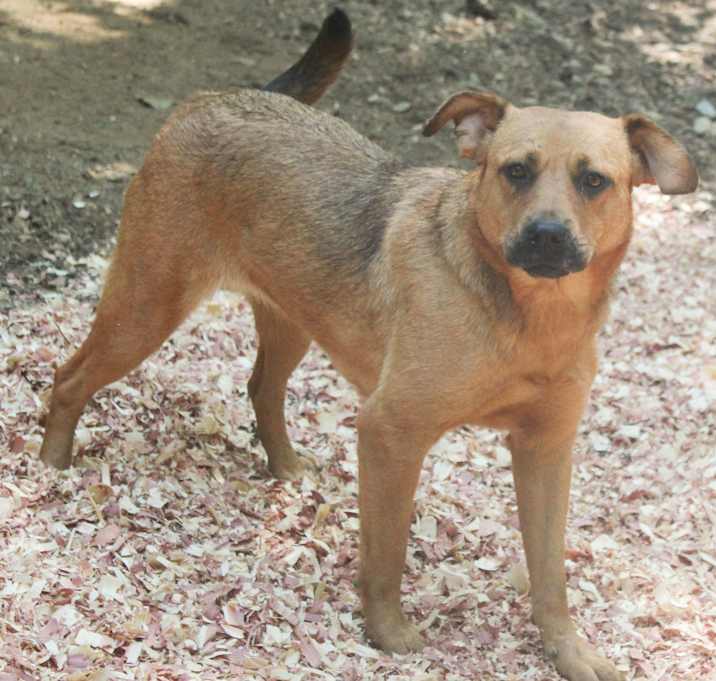 Photo of Sandy Shores $150