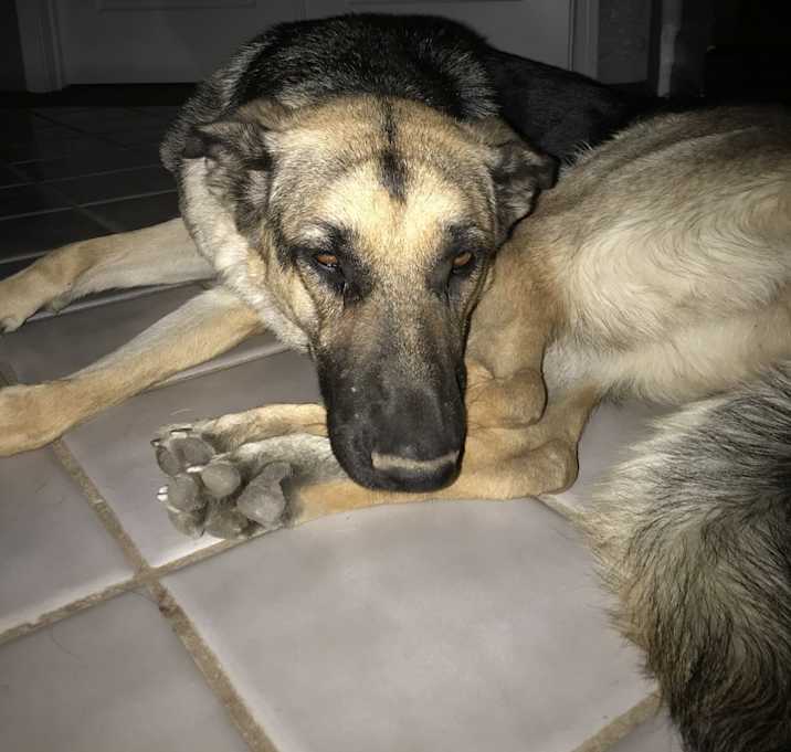 Photo of Luna & Lucy