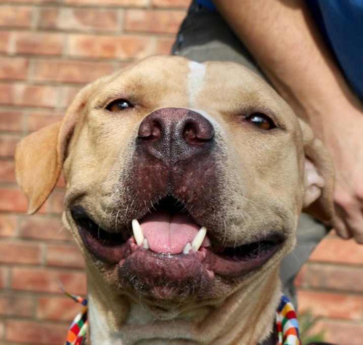 Photo of Momma Goldie MMc