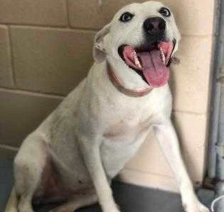 Photo of F19 994 Lena