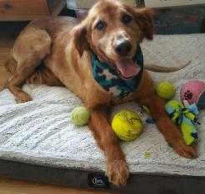 Photo of Maxwell Angel