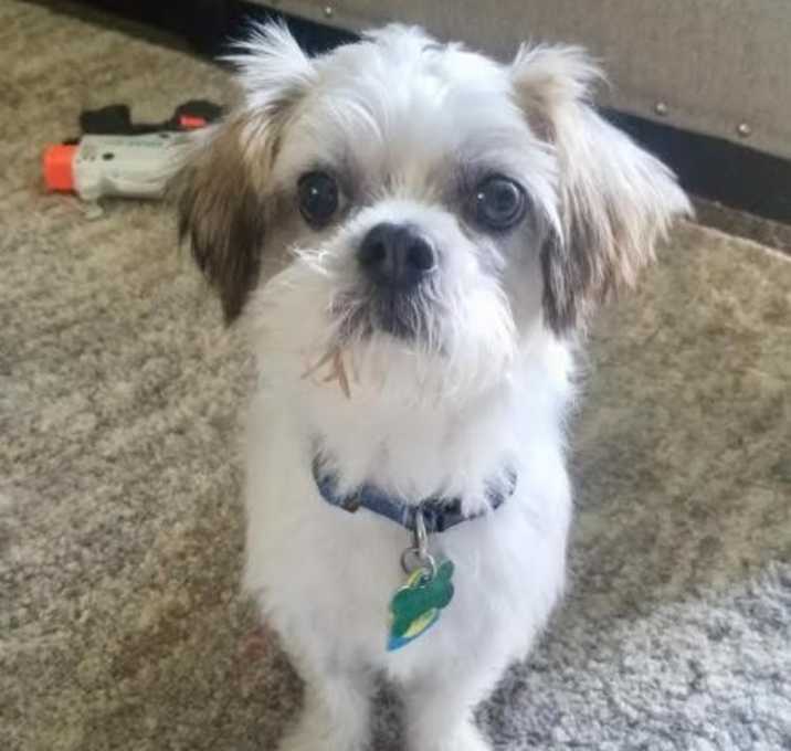 Photo of Charlie Douglas