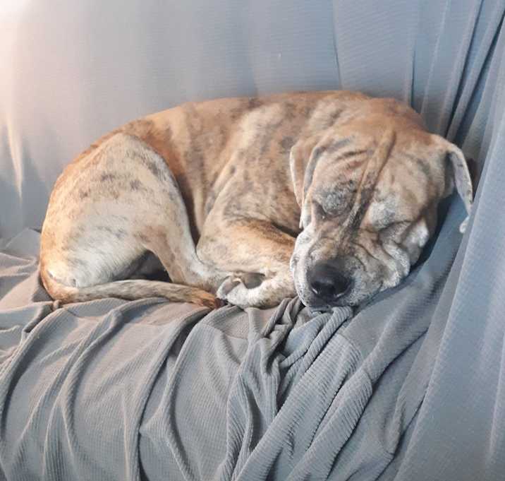 Photo of Juandissimo 