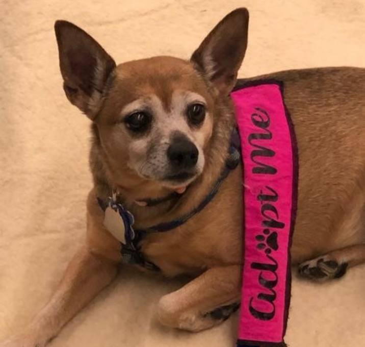 Photo of Alora Senior