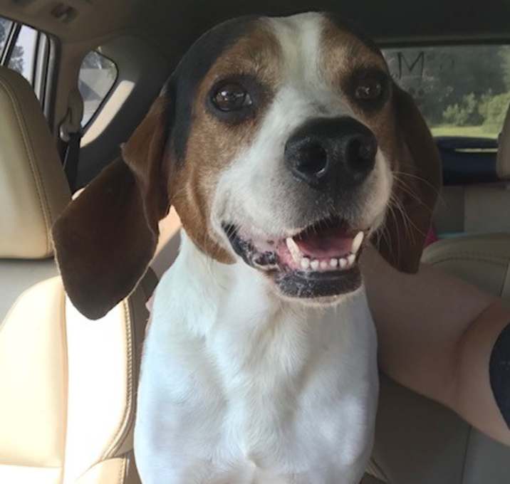 Photo of SUPER MARIO