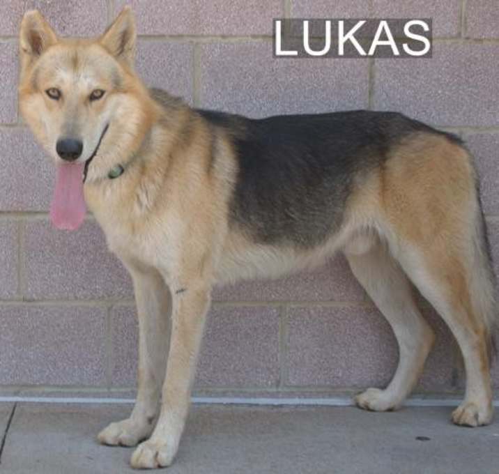 Photo of Lukas