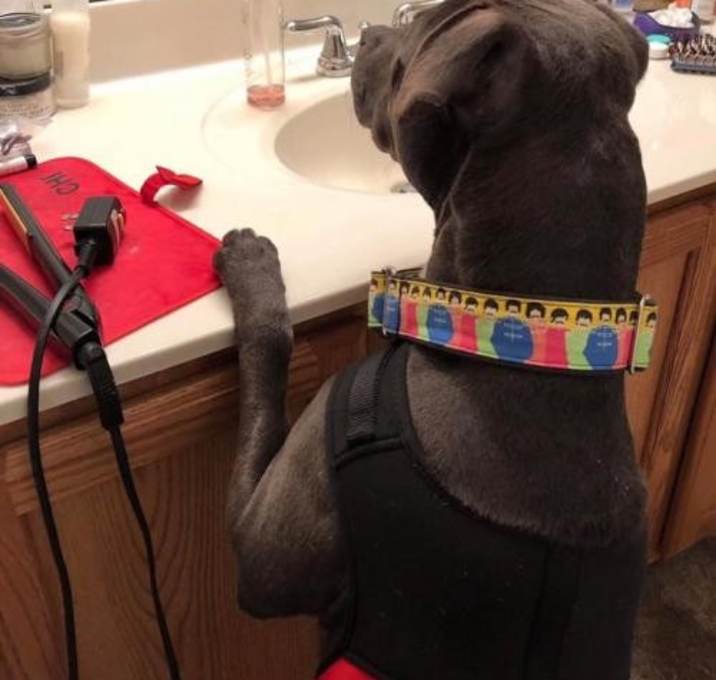 Photo of Daddy Sterling