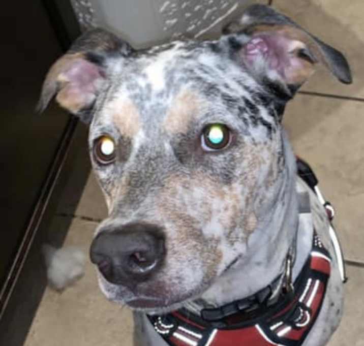 Photo of Leroy Jenkins